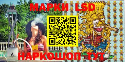 мдпв Бийск