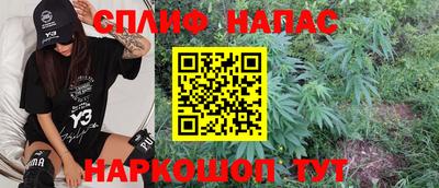 мдпв Бийск