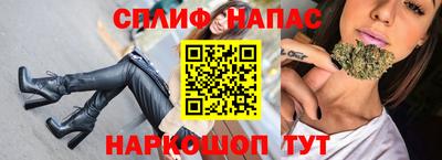 мдпв Бийск