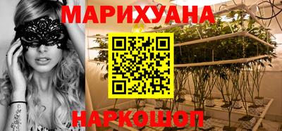 мдпв Бийск